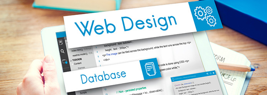 Top 5 Web Development Companies in India