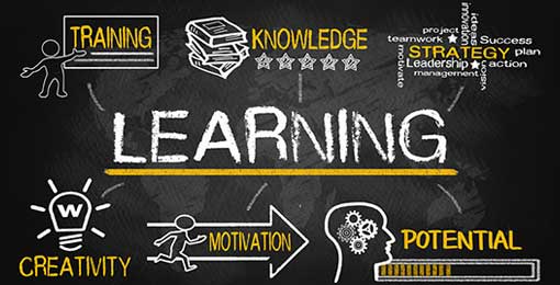 training-and-development